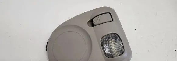 Chrysler Grand Voyager IV Rear seat light 828461
