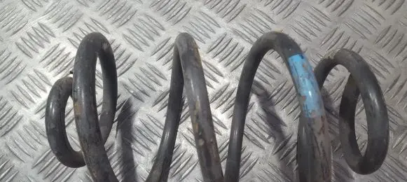 Rear coil spring