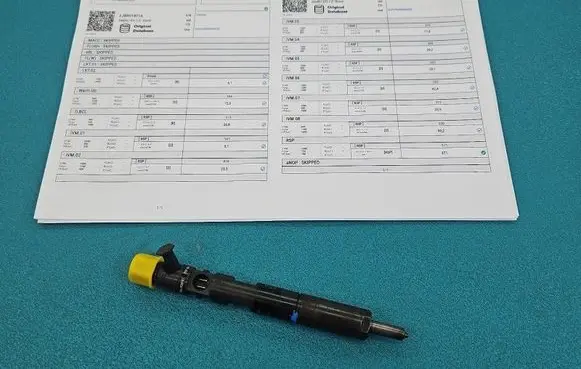 Renault Megane II Fuel injector EJBR01801A IMPRK1543946