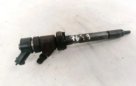 Citroen C4 I Picasso Fuel injector 0445110259