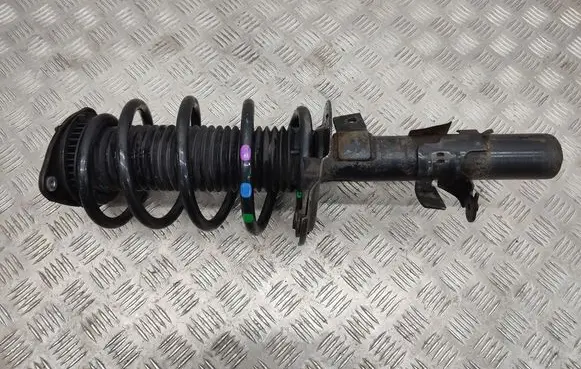 Ford Transit - Tourneo Connect Front shock absorber with coil spring DV6118045AC