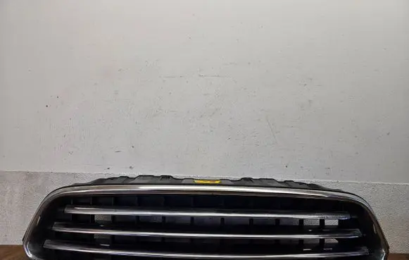 Mini Cooper Countryman R60 Front bumper upper radiator grill 224059