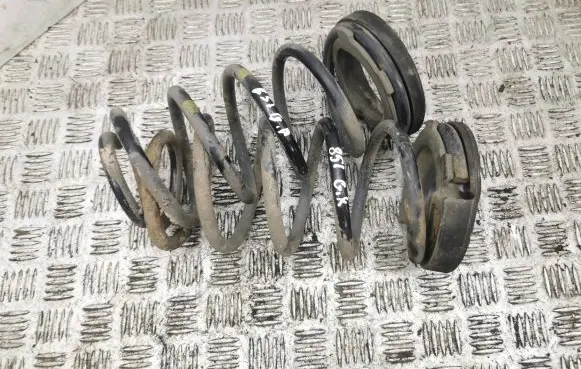 Hyundai Santa Fe Rear coil spring