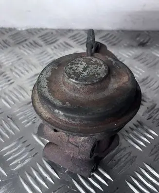 EGR valve