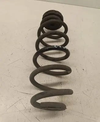 Rear coil spring