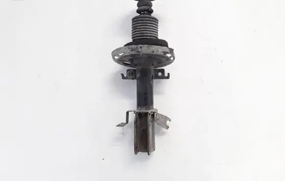 Renault Megane III Front shock absorber/damper 543020008R