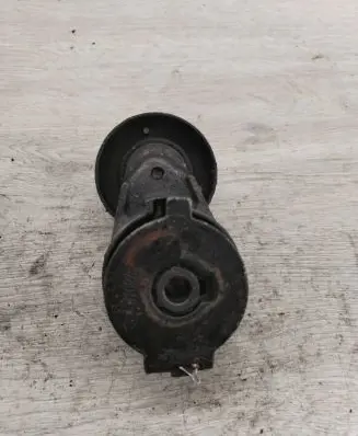Renault Scenic I Generator/alternator belt tensioner 628010