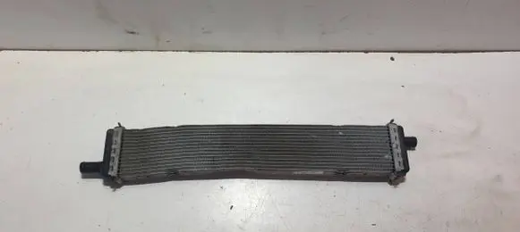 Renault Clio V Coolant radiator 214108020R 214108020