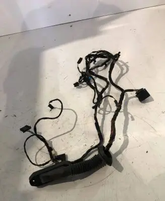 BMW X6 E71 Front door wiring loom 6925548