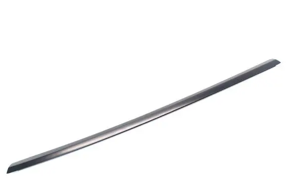 Tesla Model Y Rear door trim (molding) 1495722-00-C