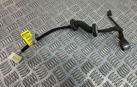 Opel Antara Tailgate/trunk wiring harness 20976405