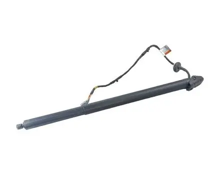 Ford Escape IV Tailgate/trunk strut/damper LJ6BS402A54AC