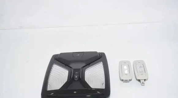 BMW 5 G30 G31 G38 Front seat light 9893172 9390895 9390896