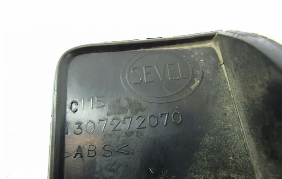 Fiat Ducato Number plate light 1307272070
