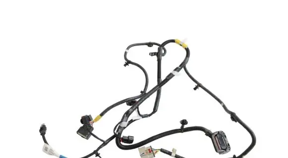 Tesla Model Y Other wiring loom 248905901A