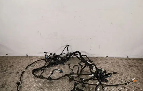 Peugeot 508 Other wiring loom 9813428780