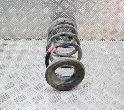 Tesla Model 3 Rear coil spring 104447201E