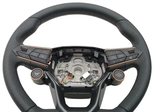 Audi Q3 F3 Steering wheel 5FF419091C
