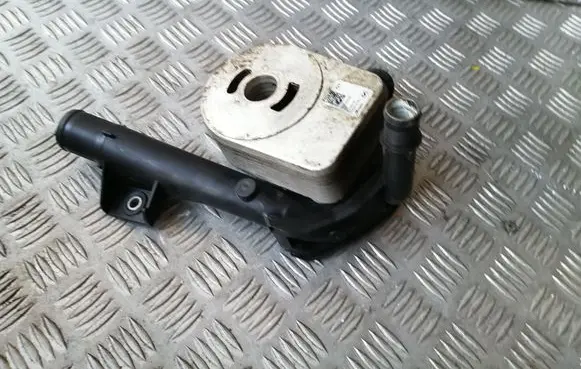 Renault Kangoo II Engine oil radiator 8200923115 210473766R