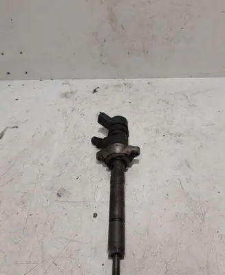 Citroen C4 I Fuel injector 0445110259