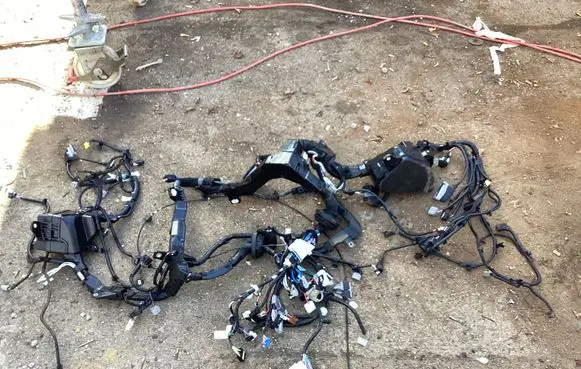 Lexus NX Other wiring loom 8211178030 8281742S30