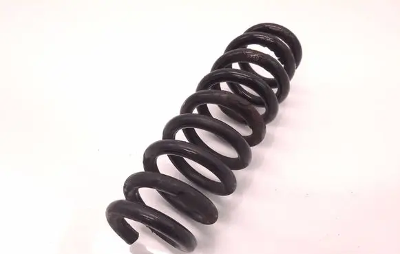 Rear coil spring