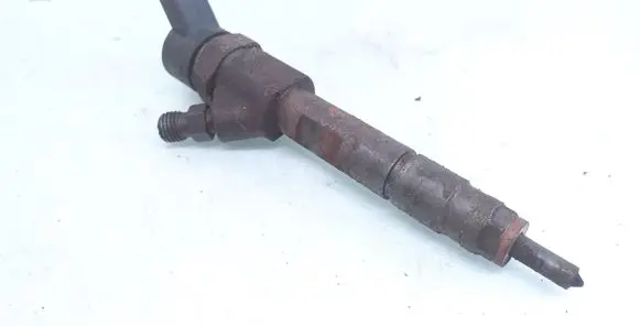 Renault Scenic I Fuel injector 8200100696 0445110109B