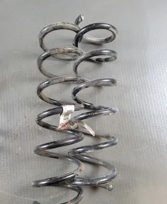 Rear coil spring