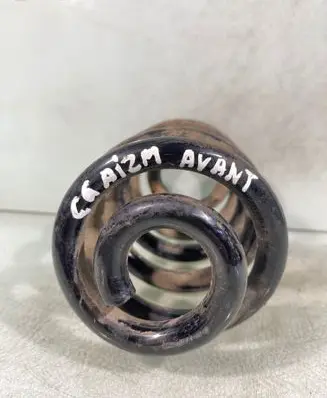 Rear coil spring