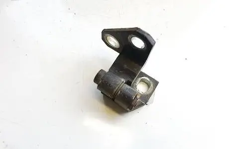Rear door lower hinge
