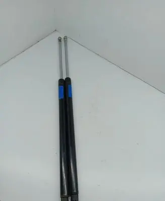 Tailgate strut
