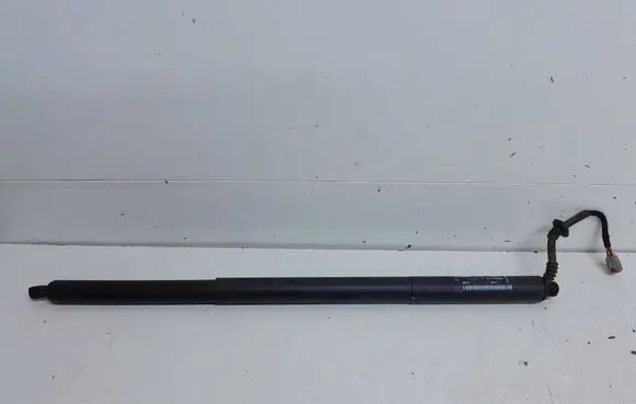 Ford Puma Tailgate/trunk strut/damper L1TBS404C84AA