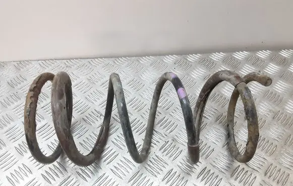 KIA Carens I Front coil spring