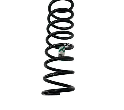 Ford Focus Rear coil spring BV615560NGE
