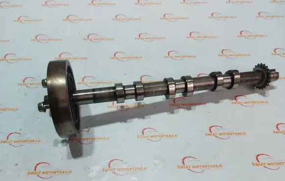 Land Rover Range Rover Sport L494 Camshaft 9X2Q6A272AA