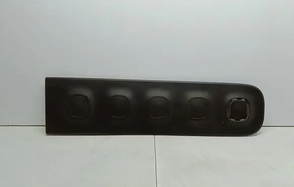 Citroen C3 Front door trim (molding) 9813090877 LD191