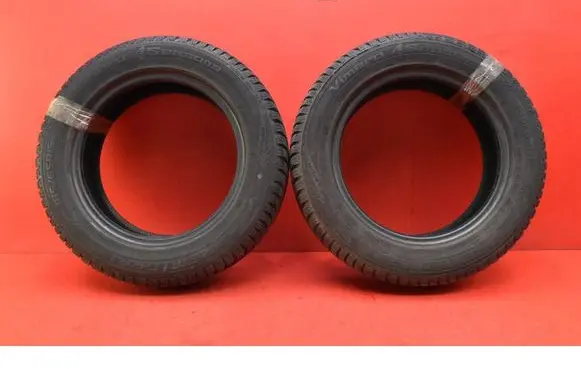 Renault Scenic I R17 C winter tire 