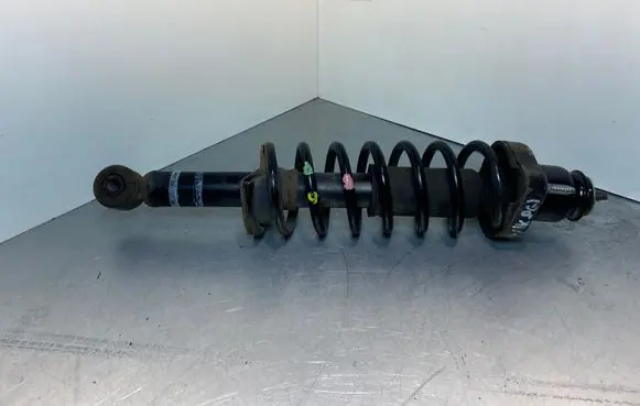 Mitsubishi ASX Rear shock absorber/damper 4162A192
