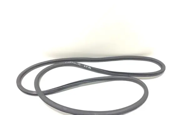 Porsche Panamera (970) Front door rubber seal