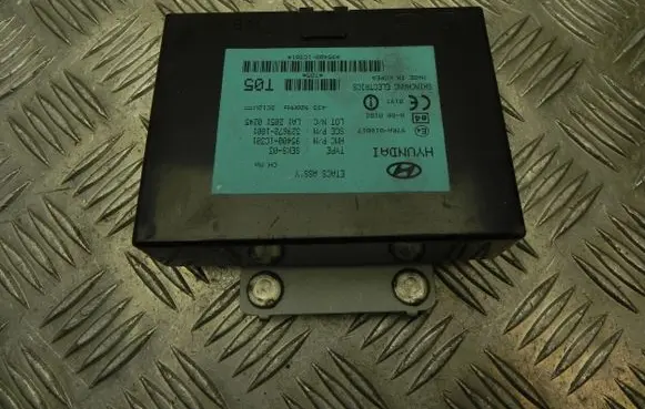 Hyundai Getz Other control units/modules 954001C301 G4133