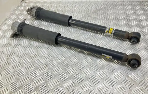 Rear shock absorber/damper