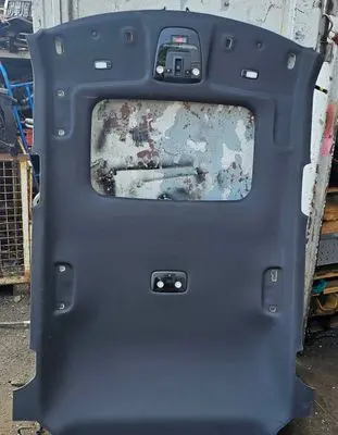 KIA EV6 Headlining 