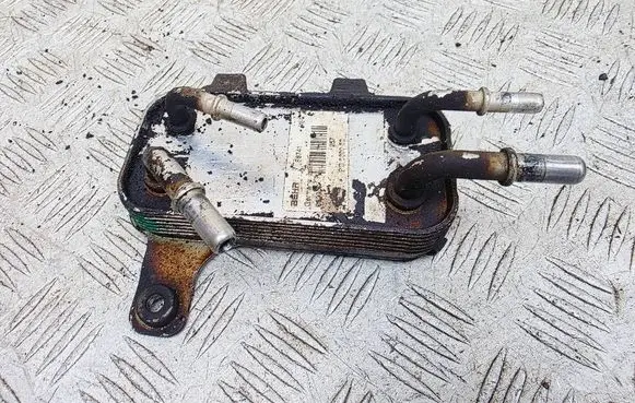 Land Rover Range Rover Sport L320 Fuel cooler (radiator) PIB500052