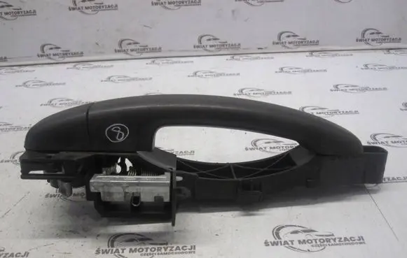 Opel Vivaro Front door exterior handle 806068194R