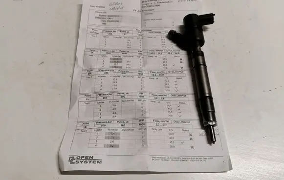 Hyundai Matrix Fuel injector 0445110223