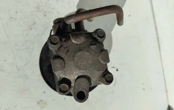 Suzuki Grand Vitara II Power steering pump 4910067J00 5Y033190