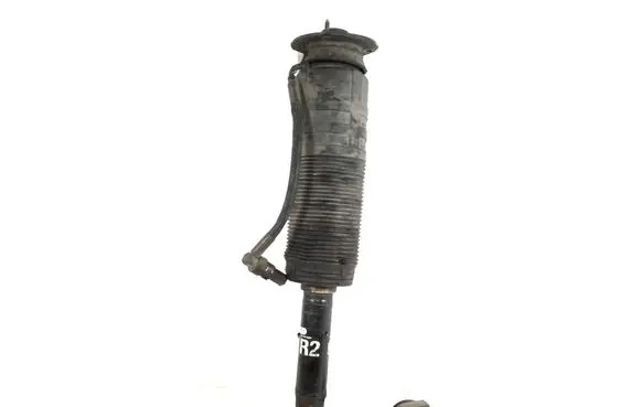 Mercedes-Benz S W220 Front shock absorber/damper A2203206413