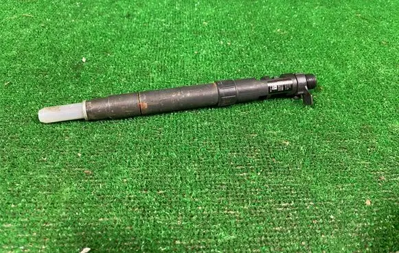 Peugeot Expert Fuel injector 9686191080