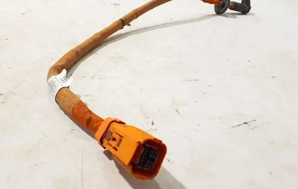 Porsche Panamera (971) Other wiring loom 971971602