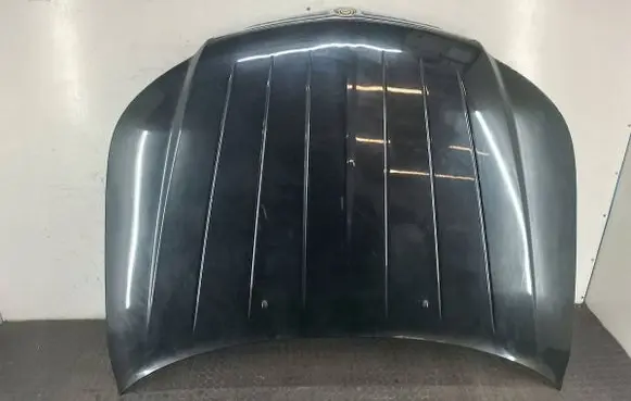 Engine bonnet/hood